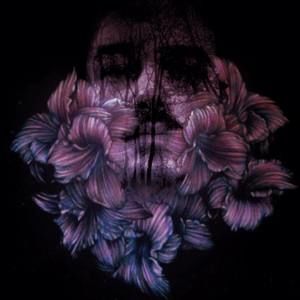 Meet your Posher, Brendan